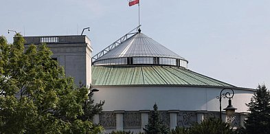 Warszawa:w pobliżu Sejmu znaleziono model samolotu-zabawki-45783
