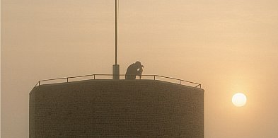 Hej Kruszwica! Im głębiej robaki we wrześniu, tym sroższa zima.-45753
