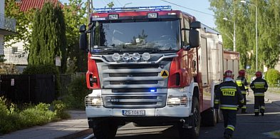 Wieczorna interwencja. Duża plama oleju od Bachorc do Kruszwicy-45843