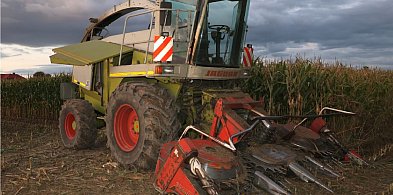Metalowe przedmioty w polu kukurydzy. Ktoś chciał zniszczyć kombajn-46010