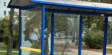 Kolejny akt dewastacji w mieście. Tym razem zniszczono wiatę na Lipowej-46877