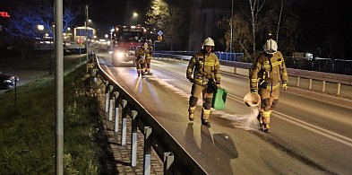Strażacy z interwencją na Kościuszki. Chodzi o plamę oleju-47345