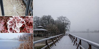 Piękno zimy nad Gopłem. Zobaczcie zdjęcia Agnieszki Bartczak!-47633