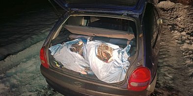 Racice: Zatrzymano kłusowników z samochodem pełnym ryb-47958