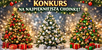 Wybieramy najpiękniejszą świąteczną choinkę w Kruszwicy!-48607