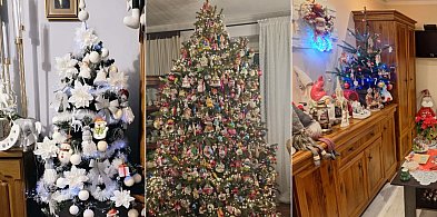 Za nami konkurs na „Najpiękniejszą choinkę w Kruszwicy”! Nagrody wędrują do...-48619