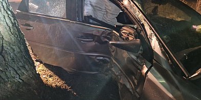 Samochód uderzył w drzewo w Zofijówce. Interweniowały służby-48652