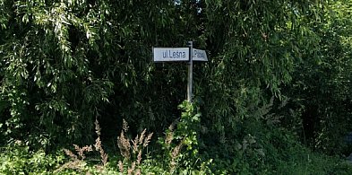 Komisja Budżetu i Rozwoju Gospodarczego z wnioskiem w sprawie Leśnej-48655