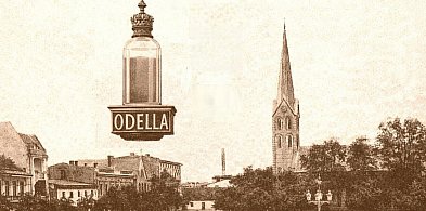 „Odella” w Kruszwicy. Jak tran z Bremy trafił do pruskich aptek-48889