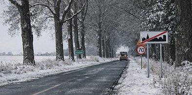 Blisko setka wypadków na trasie Kruszwica-Włostowo. Radni mówią dość