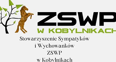 Powstało Stowarzyszenie Wychowanków i Sympatyków szkoły w Kobylnikach-45731