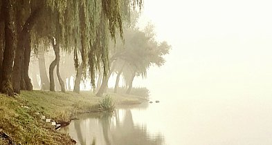 Hej Kruszwica! „Gdy Kleofas we mgle chodzi, mokrą zimę zwykle zrodzi”-45986