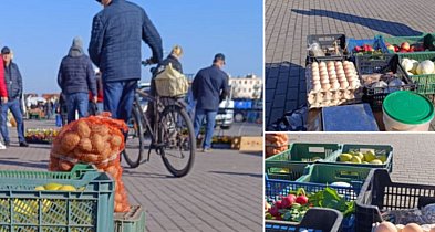 Zanotowane na kruszwickim targowisku: Niskie ceny ziemniaków. Sporo za pomidory-46422