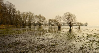Hej Kruszwica! Gdy październik mroźny, to nie będzie styczeń groźny-46871