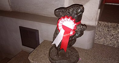 Kruszwicka mysz przy Rynku też obchodzi Święto Niepodległości-47315