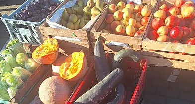 Zanotowane na kruszwickim targowisku. Jakie ceny w listopadzie?-47624