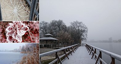 Piękno zimy nad Gopłem. Zobaczcie zdjęcia Agnieszki Bartczak!-47633