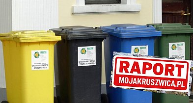 RAPORT: Analiza finansowa i efektywność kosztowa systemu w Kruszwicy-47922