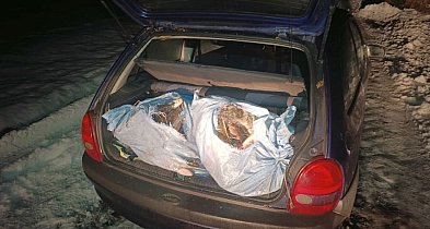 Racice: Zatrzymano kłusowników z samochodem pełnym ryb-47958