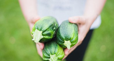 Integrowana produkcja warzyw. W piątek szkolenie w Kruszwicy-47952