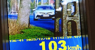 Bardzo duży mandat. Kierowca otrzymał go w Gminie Kruszwica-48180