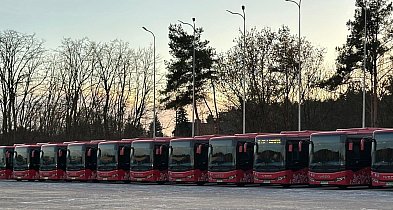 Kujawsko-Pomorskie inwestuje w nowy tabor autobusowy. Pierwsze pojazdy już w regio-48757