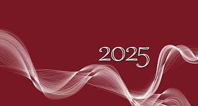 Urząd Miejski w Kruszwicy podsumował rok: Liczne wydarzenia i imprezy [VIDEO]-48790