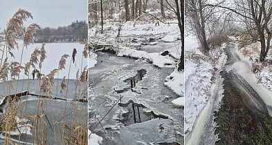 RZGW w Bydgoszczy: lód objął 100 procent powierzchni Gopła-49045