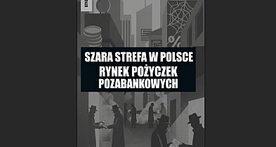 Raport WEI: nawet 15 proc. rynku pożyczek poza kontrolą państwa-49102