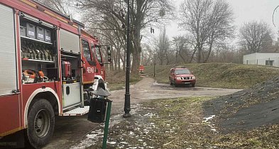 KRÓTKO: Wycinka gałęzi na Zagoplu-49213