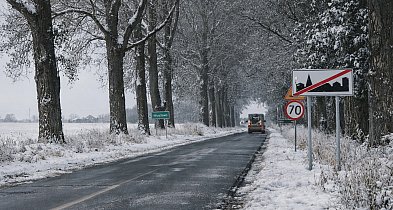 Blisko setka wypadków na trasie Kruszwica-Włostowo. Radni mówią dość