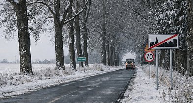 Radni będą głosować w sprawie apelu dotyczącego trasy Kruszwica-Włostowo