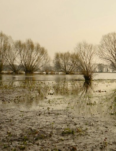 Hej Kruszwica! Gdy październik mroźny, to nie będzie styczeń groźny-46871