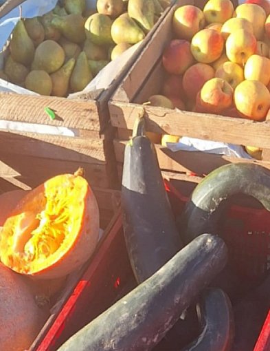 Zanotowane na kruszwickim targowisku. Jakie ceny w listopadzie?-47624