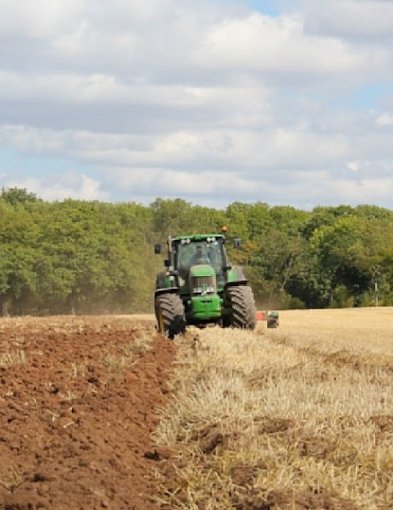 Traktory Bruder: Jakie marki modeli są dostępne?-48267