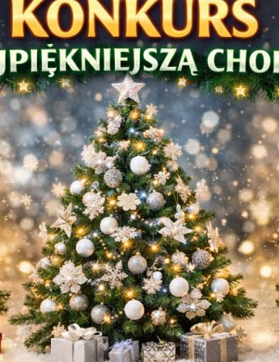Wybieramy najpiękniejszą świąteczną choinkę w Kruszwicy!-48607