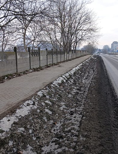 Radny złożył interpelację w sprawie ogrodzenia przy drodze krajowej w Kobylnikach-49105