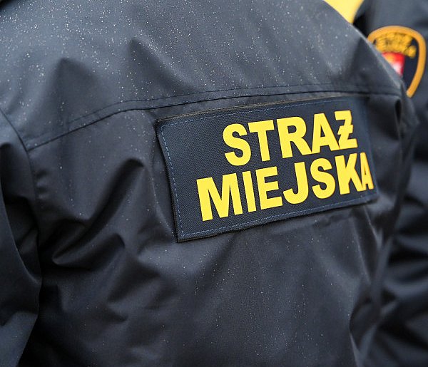 Zapuka strażnik, zapłacisz karę. Ruszyły kontrole w całej Polsce-46517