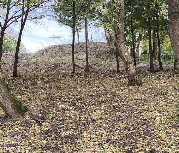Podzamcze: Tak dziś wygląda teren pod Mysią Wieżą [ZDJĘCIA, FOTO]-46698