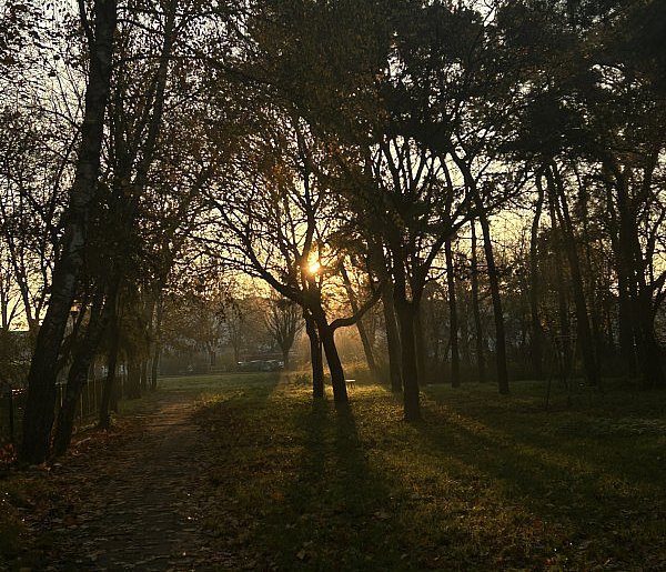 Nadchodzi najkrótszy dzień w 2025 roku. Sprawdź, kiedy przypadnie-48440