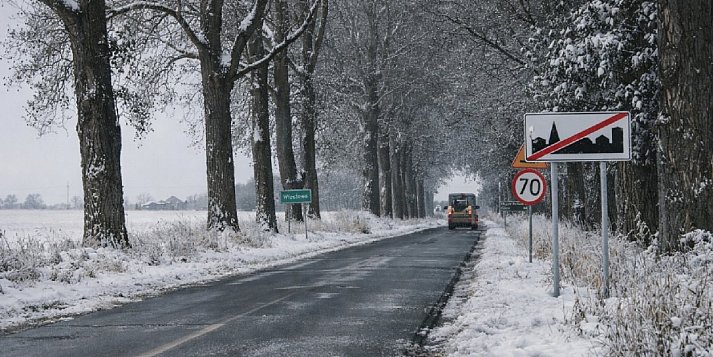 Sprawa wycinki drzew przy drodze Włostowo–Kruszwica rozpatrzona przez powiat?