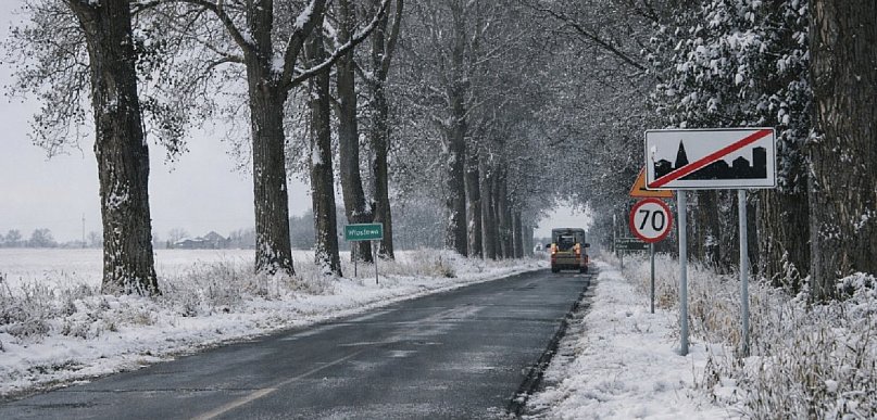 Sprawa wycinki drzew przy drodze Włostowo–Kruszwica rozpatrzona przez powiat?