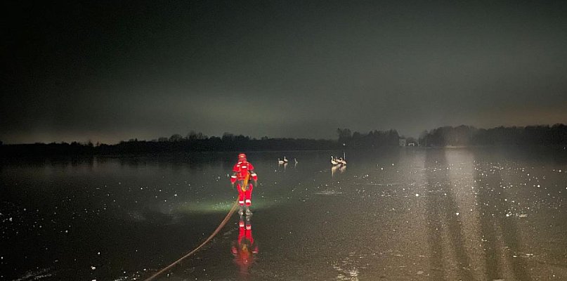 Połajewo. Zgłoszenie dotyczące łabędzia na lodzie jeziora Gopło - 48988