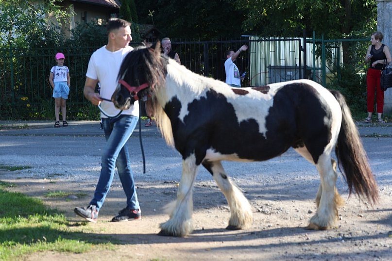 Festyn Parafialny w Polanowicach 2025