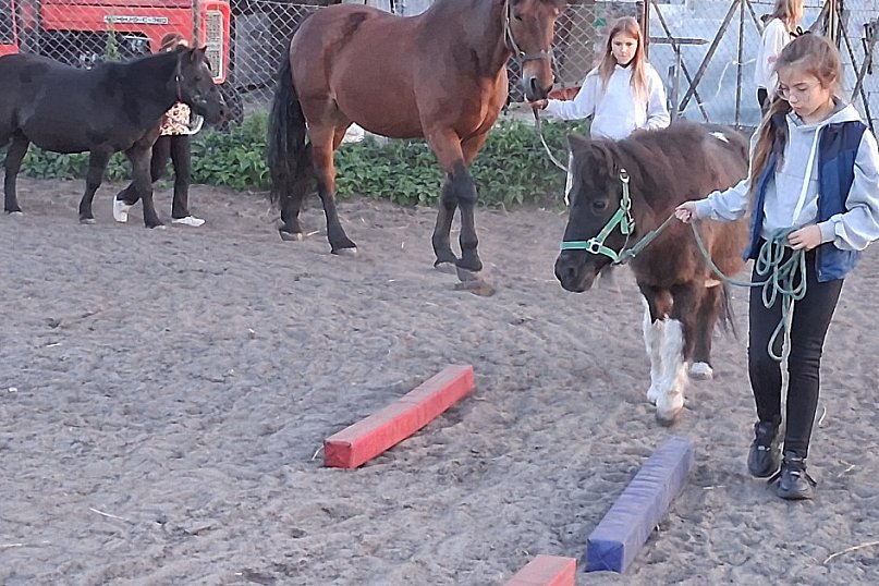 Konikowy Piątek w Stajni Ranczo Bródzki