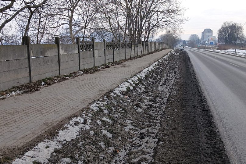 Radny złożył interpelację w sprawie ogrodzenia przy drodze krajowej w Kobylnikach