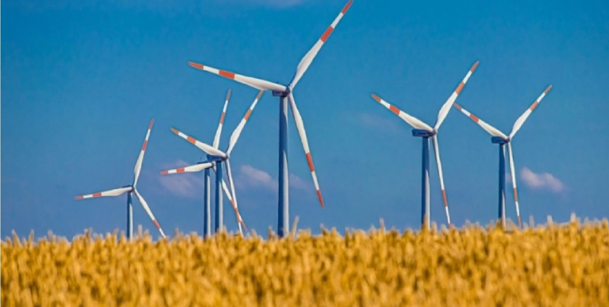 Planowane elektrownie wiatrowe w gminie Dąbrowa Biskupia budzą sprzeciw 