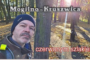 Szlak Mogilno - Kruszwica